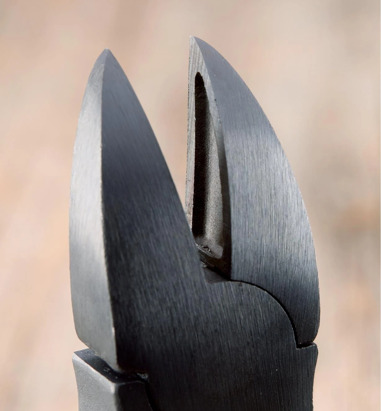 Nail Hunter 1 Nail Hunter