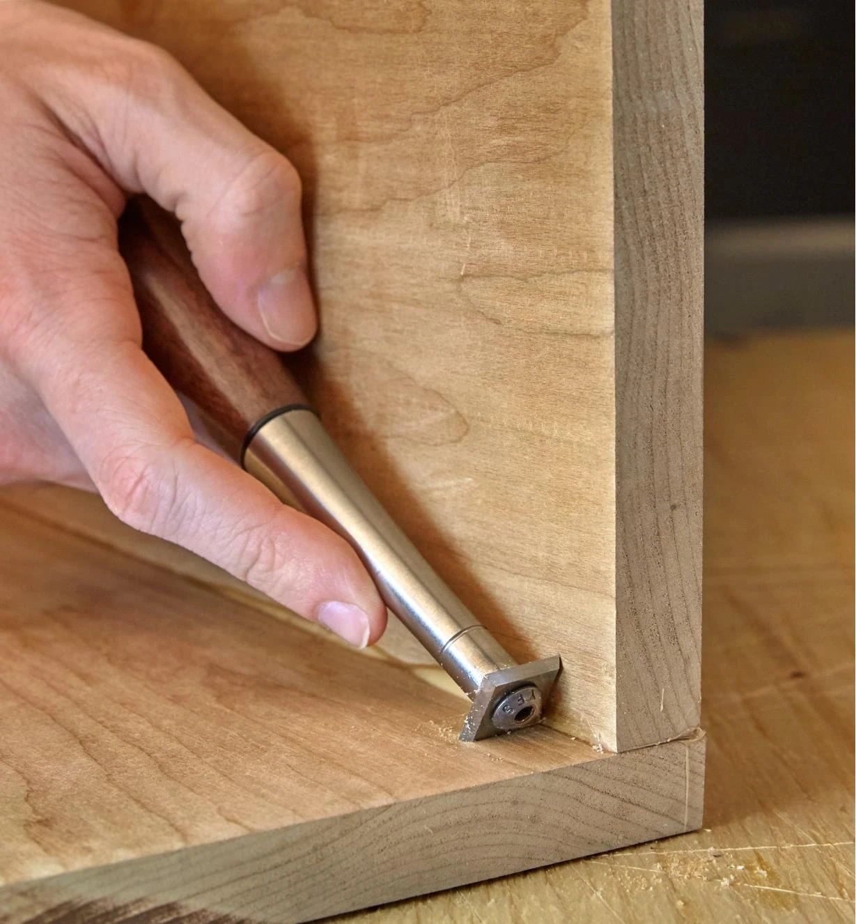 Detail Hand Scraper 3 Detail Hand Scraper - Image 3