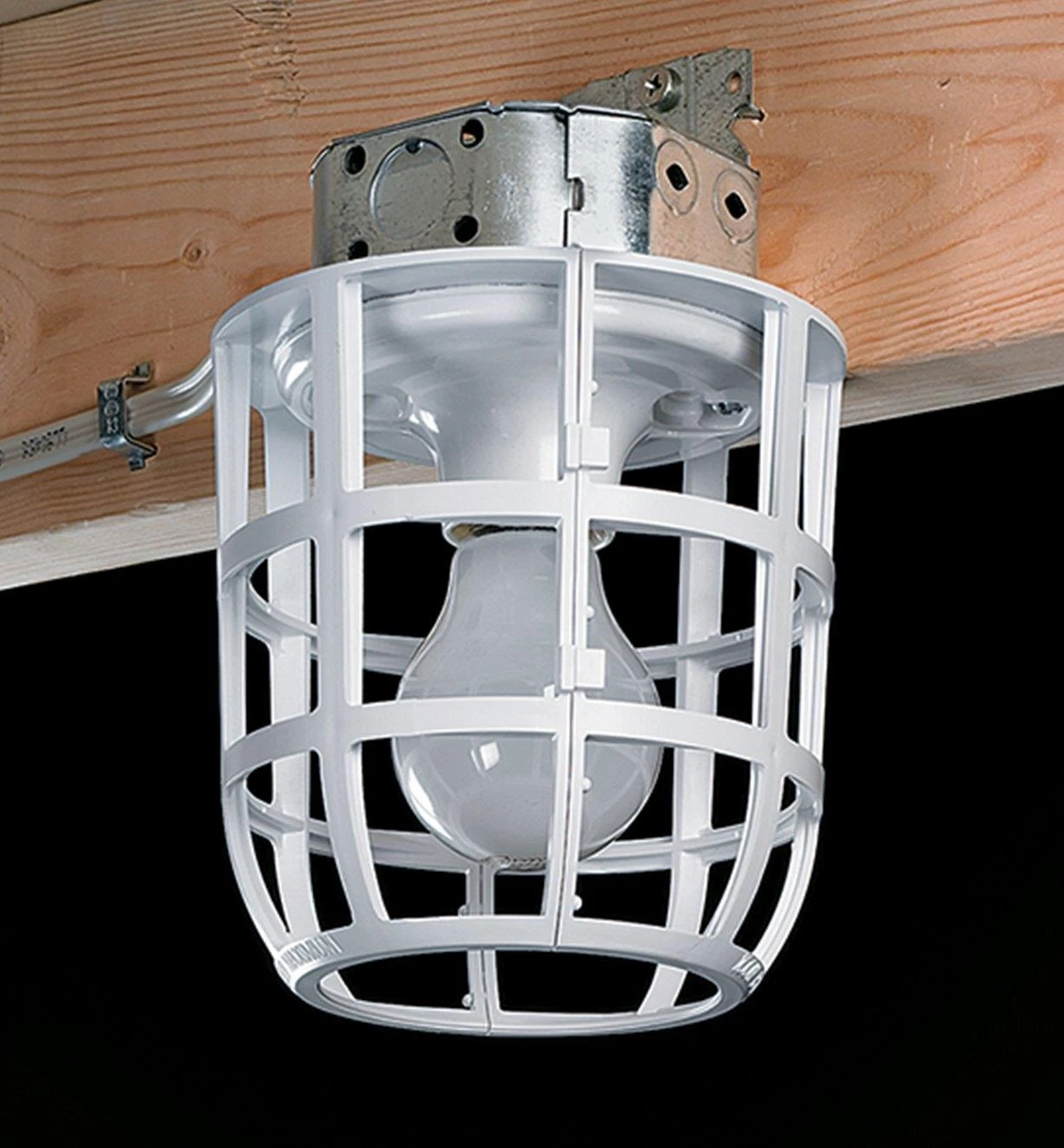 Light Bulb Cage 2 Light Bulb Cage - Image 2