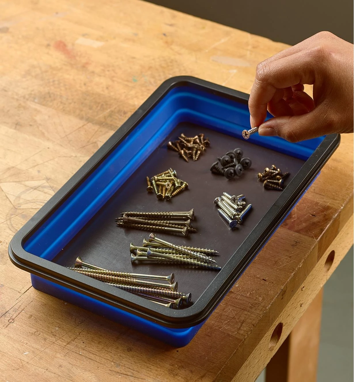 Collapsible Magnetic Trays 5 Collapsible Magnetic Trays - Image 5